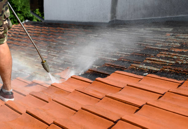 Best Fence Pressure Washing  in Dupont, WA