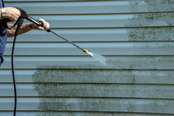 Best Pressure Washing Company Near Me  in Dupont, WA